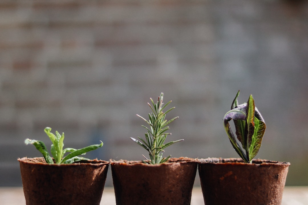 Life: All About the Mindset | Andrea Callahan