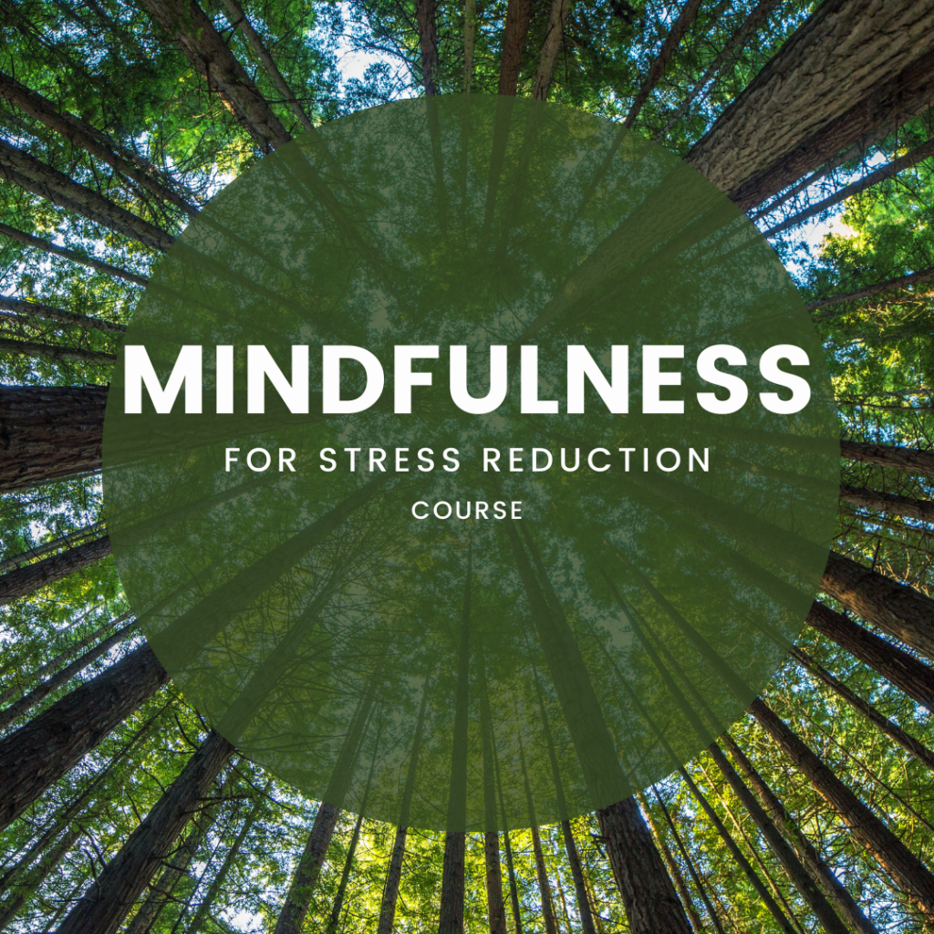 The Mindfulness for Stress Reduction with Andrea Callahan